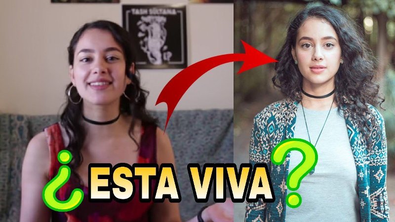 Ash Vlogs: ¿Qué pasó?